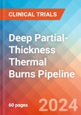 Deep Partial-Thickness Thermal Burns - Pipeline Insight, 2024- Product Image