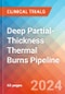 Deep Partial-Thickness Thermal Burns - Pipeline Insight, 2024 - Product Thumbnail Image