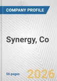 Synergy, Co. Fundamental Company Report Including Financial, SWOT, Competitors and Industry Analysis- Product Image