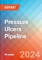 Pressure Ulcers - Pipeline Insight, 2024 - Product Image