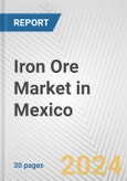 Iron Ore Market in Mexico: 2017-2023 Review and Forecast to 2027- Product Image