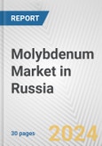 Molybdenum Market in Russia: 2017-2023 Review and Forecast to 2027- Product Image