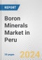 Boron Minerals Market in Peru: 2017-2023 Review and Forecast to 2027 - Product Thumbnail Image