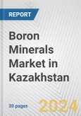 Boron Minerals Market in Kazakhstan: 2017-2023 Review and Forecast to 2027- Product Image