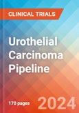 Urothelial Carcinoma - Pipeline Insight, 2024- Product Image