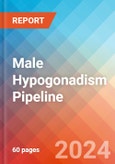 Male Hypogonadism - Pipeline Insight, 2024- Product Image