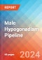 Male Hypogonadism - Pipeline Insight, 2024 - Product Image