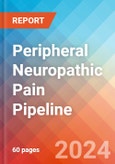 Peripheral Neuropathic Pain - Pipeline Insight, 2024- Product Image