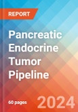 Pancreatic Endocrine Tumor - Pipeline Insight, 2024- Product Image