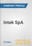 Intek SpA Fundamental Company Report Including Financial, SWOT, Competitors and Industry Analysis- Product Image