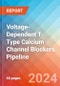 Voltage-Dependent T-Type Calcium Channel Blockers - Pipeline Insight, 2024 - Product Image