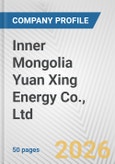 Inner Mongolia Yuan Xing Energy Co., Ltd. Fundamental Company Report Including Financial, SWOT, Competitors and Industry Analysis- Product Image