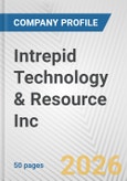 Intrepid Technology & Resource Inc. Fundamental Company Report Including Financial, SWOT, Competitors and Industry Analysis- Product Image