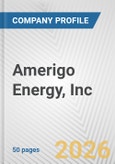 Amerigo Energy, Inc. Fundamental Company Report Including Financial, SWOT, Competitors and Industry Analysis- Product Image