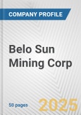 Belo Sun Mining Corp Fundamental Company Report Including Financial, SWOT, Competitors and Industry Analysis- Product Image