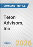 Teton Advisors, Inc Fundamental Company Report Including Financial, SWOT, Competitors and Industry Analysis- Product Image