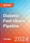 Diabetic Foot Ulcers - Pipeline Insight, 2024 - Product Image