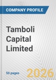 Tamboli Capital Limited Fundamental Company Report Including Financial, SWOT, Competitors and Industry Analysis- Product Image