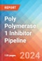 Poly (ADP-Ribose) Polymerase 1 (PARP) Inhibitor - Pipeline Insight, 2024 - Product Image