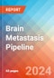 Brain Metastasis - Pipeline Insight, 2024 - Product Thumbnail Image