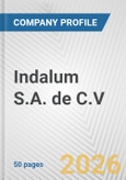 Indalum S.A. de C.V Fundamental Company Report Including Financial, SWOT, Competitors and Industry Analysis- Product Image