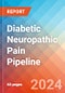 Diabetic Neuropathic Pain - Pipeline Insight, 2024 - Product Image