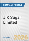 J K Sugar Limited Fundamental Company Report Including Financial, SWOT, Competitors and Industry Analysis- Product Image