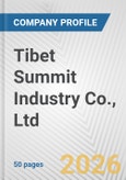 Tibet Summit Industry Co., Ltd. Fundamental Company Report Including Financial, SWOT, Competitors and Industry Analysis- Product Image