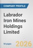 Labrador Iron Mines Holdings Limited. Fundamental Company Report Including Financial, SWOT, Competitors and Industry Analysis- Product Image