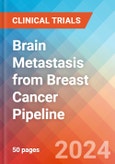 Brain Metastasis from Breast Cancer - Pipeline Insight, 2024- Product Image