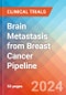 Brain Metastasis from Breast Cancer - Pipeline Insight, 2024 - Product Thumbnail Image
