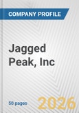 Jagged Peak, Inc. Fundamental Company Report Including Financial, SWOT, Competitors and Industry Analysis- Product Image