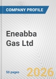 Eneabba Gas Ltd. Fundamental Company Report Including Financial, SWOT, Competitors and Industry Analysis- Product Image