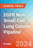EGFR Non-Small Cell Lung Cancer - Pipeline Insight, 2024- Product Image