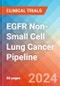 EGFR Non-Small Cell Lung Cancer - Pipeline Insight, 2024 - Product Image