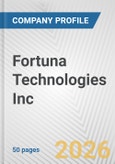 Fortuna Technologies Inc. Fundamental Company Report Including Financial, SWOT, Competitors and Industry Analysis- Product Image