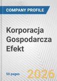Korporacja Gospodarcza Efekt Fundamental Company Report Including Financial, SWOT, Competitors and Industry Analysis- Product Image