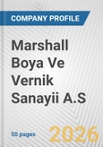 Marshall Boya Ve Vernik Sanayii A.S Fundamental Company Report Including Financial, SWOT, Competitors and Industry Analysis- Product Image