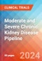 Moderate and Severe Chronic Kidney Disease - Pipeline Insight, 2024 - Product Thumbnail Image