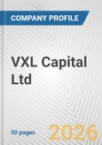 VXL Capital Ltd. Fundamental Company Report Including Financial, SWOT, Competitors and Industry Analysis- Product Image