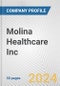 Molina Healthcare Inc. Fundamental Company Report Including Financial, SWOT, Competitors and Industry Analysis - Product Thumbnail Image