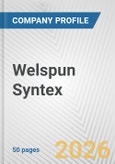 Welspun Syntex Fundamental Company Report Including Financial, SWOT, Competitors and Industry Analysis- Product Image