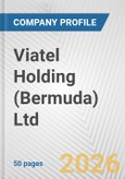Viatel Holding (Bermuda) Ltd. Fundamental Company Report Including Financial, SWOT, Competitors and Industry Analysis- Product Image