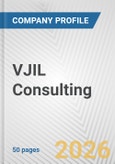 VJIL Consulting Fundamental Company Report Including Financial, SWOT, Competitors and Industry Analysis- Product Image