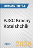 PJSC Krasny Kotelshchik Fundamental Company Report Including Financial, SWOT, Competitors and Industry Analysis- Product Image