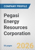 Pegasi Energy Resources Corporation Fundamental Company Report Including Financial, SWOT, Competitors and Industry Analysis- Product Image