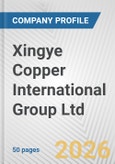 Xingye Copper International Group Ltd Fundamental Company Report Including Financial, SWOT, Competitors and Industry Analysis- Product Image