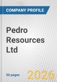 Pedro Resources Ltd. Fundamental Company Report Including Financial, SWOT, Competitors and Industry Analysis- Product Image