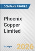Phoenix Copper Limited Fundamental Company Report Including Financial, SWOT, Competitors and Industry Analysis- Product Image