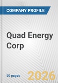 Quad Energy Corp. Fundamental Company Report Including Financial, SWOT, Competitors and Industry Analysis- Product Image
